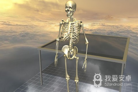 3D骨骼拆解