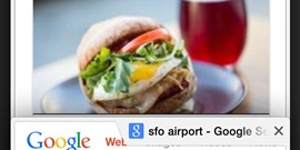 带翻译的浏览器app合集