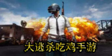 大逃杀吃鸡