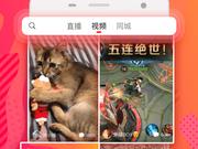 能收黄台的小视频不收费app合集