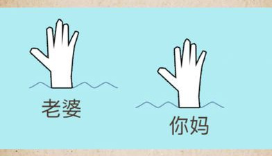 史上最坑爹的游戏12超全版本手游合集