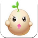 土豆泥直播