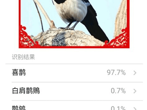 能识别看图写话的app合集