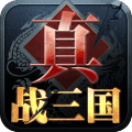 真·战三国