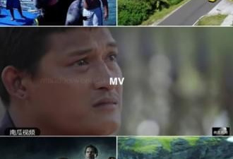 南瓜小视频历史版本app合集