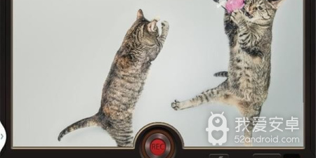 好玩不腻的动作手游合集