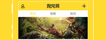 宠物寄养app合集