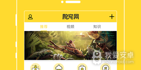 宠物寄养app合集