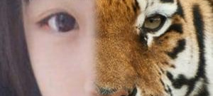 值得信赖的一键美颜app合集