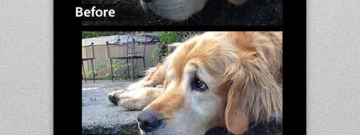 photoshop入门学习app合集