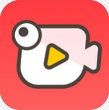 河豚视频