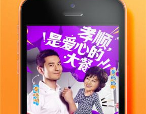 看vip综艺的app合集