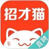 招聘猫