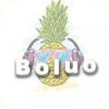 Boluo宝盒