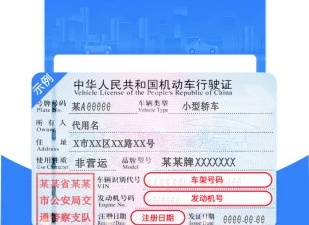 好用不占内存的查违章app合集