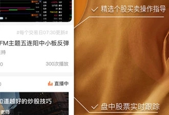 手机股票查询app合集