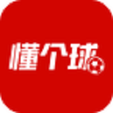 懂个球