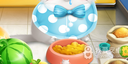 猫咪app合集