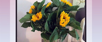 大家都说好的自拍滤纸app排行榜