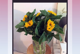 国产好用的自拍摄影app合集