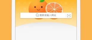 免费上外国网站的浏览器app合集