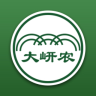 大岍农