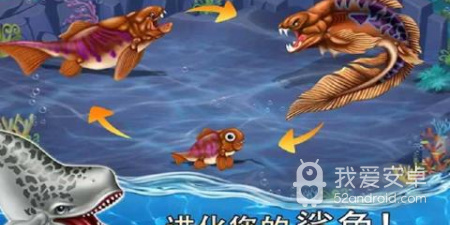 鲨鱼模拟类手游合集