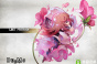 《DEEMO》近日更新3.4版本 推出全新付费曲包