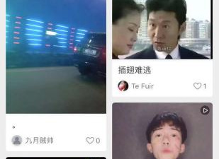 跟小蓝鸟交友一样的app合集
