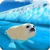 北极动物冻水滑块