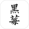 黑莓小说 最新版