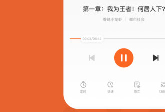 类似红果小说的app合集