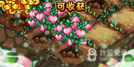 醉游三国手游合集