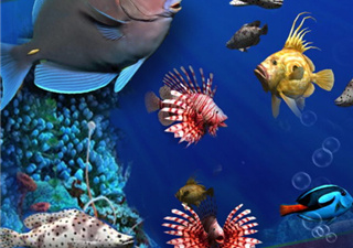 钓鱼模拟类手游合集