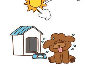 大众热门的趣味脑洞手游合集