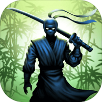 忍者武士:暗影格斗