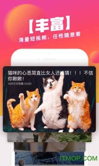 波波视频免登陆版