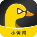 小黄鸭视频纯净版