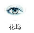 花坞直播无广告版