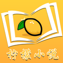 柠檬小说免费阅读版
