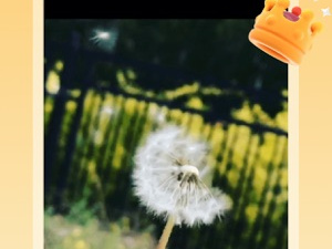 风云视频历史版本app合集