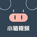 小猪视频无限看版