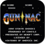 加纳战机日月光华版