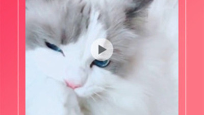 达达兔影院历史版本app合集