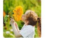 跟夜来香视频相似的app合集