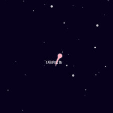 石家庄附近交友app合集