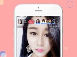 NN所有版本app合集