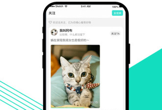 v.in短视频所有版本app合集