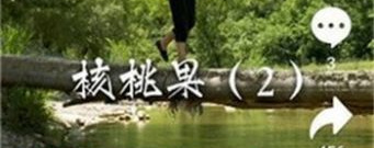 拍呱呱短视频历史版本app合集