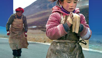 免费看日本美女的app合集